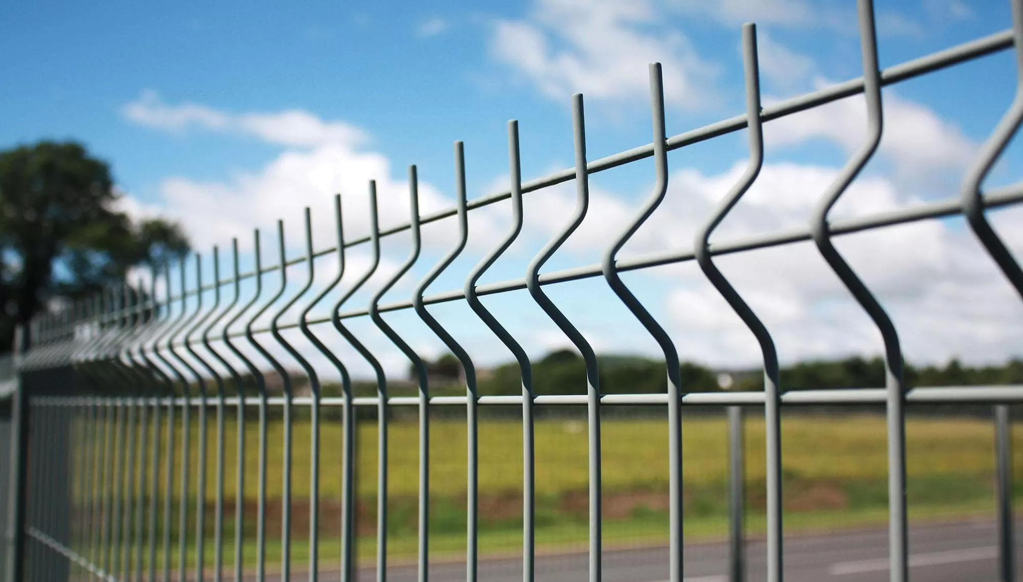 Complete panel fencing system with posts and clamps